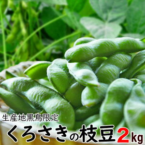 yẑ } ÖQ Ai V낳Y 2kgu}vǂ} yN[ցz   낳 
