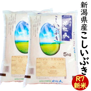 V ߘa7NY  VY Ԃ 10kg(5kg×2) ̂ uēmv (V  ߘa7NY R7)