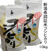 楽天市場】有機 米 10kの通販