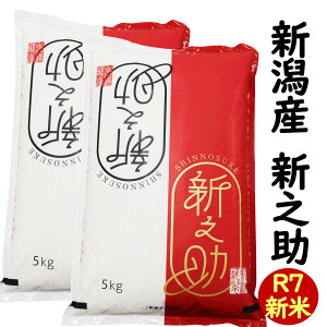 V ߘa7NY  VV 10kg(5kg×2) (V V  R7)