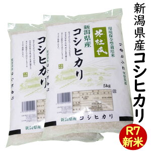 V ߘa7NY  VY RVqJ 10kg(5kg×2) ̂ uēmv (V  ߘa7NY)