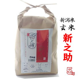 玄米 新之助 5kg 新潟産 (新潟米 お米 令和5年産 R5)