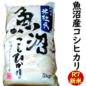 V ߘa7NY ċY RVqJ 5kg (\w) ̂ uēmv (V  R7)