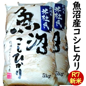 V ߘa7NY  Y RVqJ 10kg(5kg×2) (\w) ̂ uēmv (V  R7)