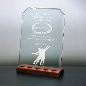 表彰状 表彰盾 感謝状 名入れ フォトフレーム /3サイズ(大300・中250・小200)〔10mm厚 角カット縦型/面取り/平面ガラス/専用布貼り箱入り!▼写真サイズ/L版/89×127/1枚or2枚/ゴールドorシルバー