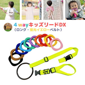 4way �L�b�Y���[�h DX �u���C�G���[�x���g�Z�b�g �n�[�l�X �q�� ���q�h�~ �x�r�[�J�[ �����b�N ��яo���h�~ ��� ���킢�� ������� ��̎q �o�q ���ł��� �M�t�g ���q�Ђ� ���q�h�~ ��Ȃ�