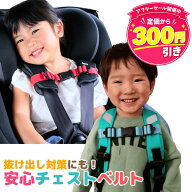 ＼ただ今300円引き／【ランキング90冠】安心 チェストベルト DX チャイルドシート リュック 子供 ランド…