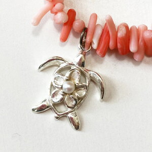 nCA ANZT[ TS lbNX zk / qgfy [ցzbhR[ ԎX ԃTS bhTS