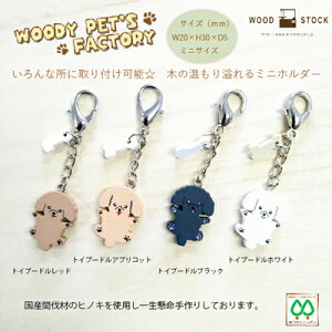 Ebh hbO `[ Xgbv tbN ~jz_[ gCv[hqbh AvRbg ubN zCgr }XN `[ y[֑Ή\zEbfB ybgz_[ i`