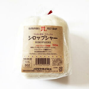 tFg r i` VbvV[ 302 100gy [ցz m E[100 nhChɁ j[h tFgn@rуtFg tFgޗ n}iJ {