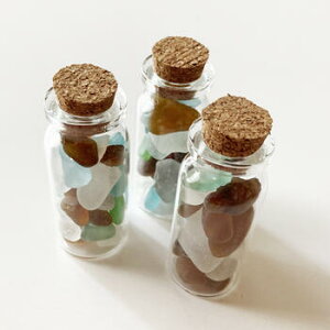  V[OX RN KX ~j {g VRf C̕ r[`OX A\[gJ[ nCAG ÂG nhCh }G l̗ }[[heBA[