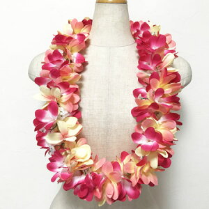 vACqgsJry[֑Ή\z nCAC nCA t[C t_X ACe