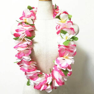 I[LbhnCrXJXCqzCgsNry[֑Ή\zt_X nCAC tK[ t[C X^_[hC  nCA X^C uC_ E