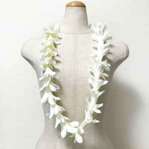 ACh `[x [Y t@[ CqzCgrnCACy[֑Ή\zuC_ EFfBO  nCA t_X nCA t[C 