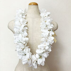 vA C zCgy[֑Ή\zt[C nCA t_XC nCAC  