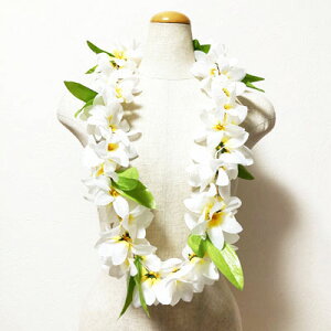 vA C q zCg&CG[ rt_X tANZ y[֑Ή\zt[C nCA t_XC nCAC   