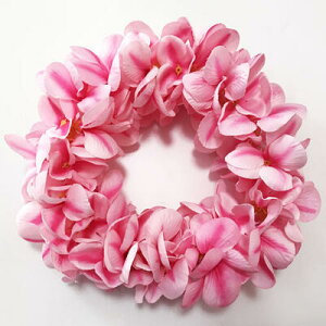 Ԋ wbhoh _u vAqsNrC|I nCAC t[C y[֑Ή\znCA t_X tK[ ACe nNC nCA EGfB