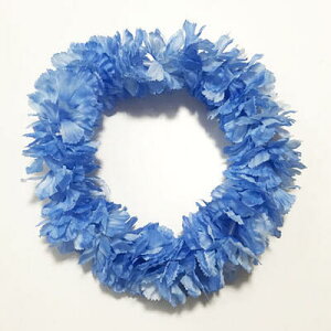 wbhoh J[l[V qu[ Of[VrC|I y[֑Ή\z nNC nCAC t[C uC_ EFfBO  Ԋ t_X ACe