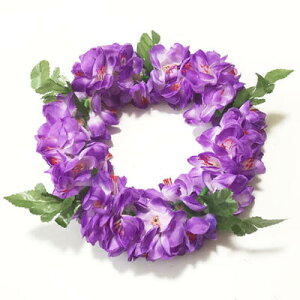 VF WW[ wbhohqp[vrC|Iy[֑Ή\znCA wbhoh Ԋ t_X ACe nCAC t[C uC_ EFfBO 