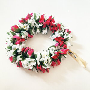 _u [Y obh nNCqsN zCgr Pj wbhoh C|Iy[֑Ή\zôڂ Ԋ nCAC t_X ACe nCAC t[