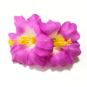 nCrXJX փA[ Nbv@_uqp[vrwA[s nCA t_X ANZ 