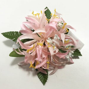 XpC_[ [ wA Nbv 10cm x 12cm qsNrOf[V wA[s nCA t_X ANZ wA ANZ wAs t_XɁ`