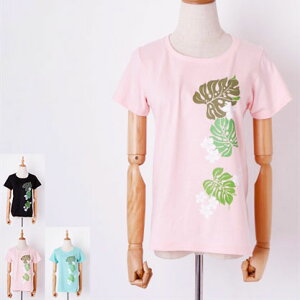  t TVc XevAqN GhO[ xr[sNrM L Rbg 100 y NbN|XgznCA t_X vg Jbg\[  V 