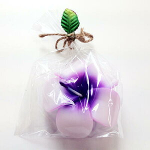 t[eBO Lh vA p[v y nCA G z낤 tWoj t[  p[eBObY