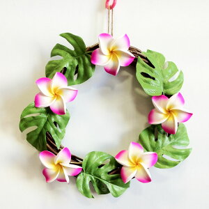 nCA [X vA sN y[֕sznCA CeA nCAG vWoj t[ tMpj