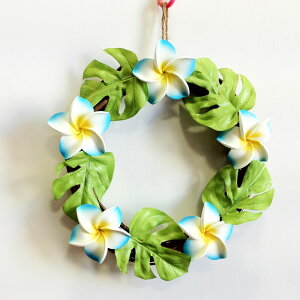 nCA [X vA u[y[֕sz nCA CeA nCAG vWoj t[ tMpj