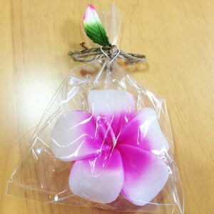 t[eBO Lh vA sN y nCA G z낤 tWoj t[ 