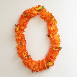 J[l[V nCrXJX CqIWrpy[֑Ή\zt_X uC_ EFfBO nCAC t[C t_X ACe  YN p[e