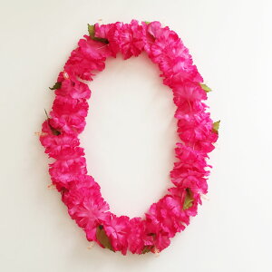 J[l[V nCrXJX CqsNrpy[֑Ή\zt_X uC_ EFfBO nCAC t[C t_X ACe  YN p[eB