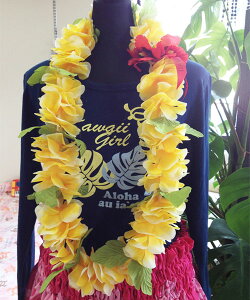 C nCrXJX CqCG[ry[֑Ή\zt_X uC_ EFfBO  tK[ɁI nCA t[C nCAC