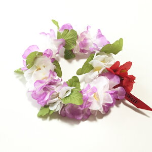 C nCrXJX wbhohqp[vzCgrC|I nCAC t[C y[֑Ή\zt_X uC_ EFfBO  nNC nCA