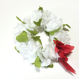 C nCrXJX wbhohqzCgrC|I nCAC t[C y[֑Ή\zt_X uC_ EFfBO  nNC nCA EGfB