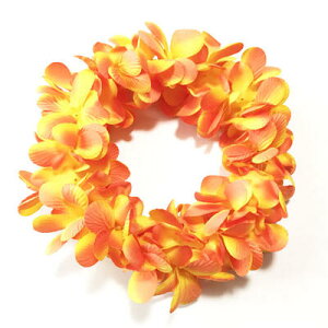 Ԋ wbhoh _u vAqIWrC|I nCAC t[C y[֑Ή\znCA tK[ ACe nNC nCA EGfBO 