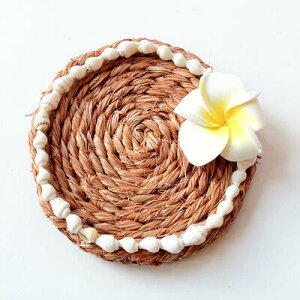 vA VF R[X^[ EhquEr yNbN|Xg Ή\znCAG