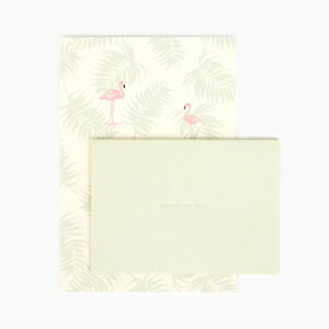 ^[Zbg t~S 01 Flamingoy[֑Ή\zV[t V̖   nCA G 莆 ^[ Zbg GF[v Xe[Vi[ [ 썑 i`