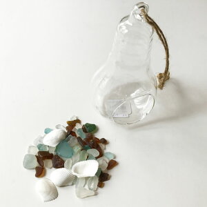 V[OX 50g d{g nMOKXqNAr KX̏r AeB[NH VRf C̕ r[`OX nCAG݁@ÂG nhCh }G