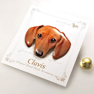 " �~�j�`���A �_�b�N�X�t���h " �yM�T�C�Y�z�s���o�b�W