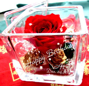 vU[uht[EVC[YkFXNGA^lyObZ[WXzϔt