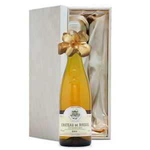 1984N ܂N C Vg[ f uC Rg[fC Ì a59N j  av[g CZbg ؔ