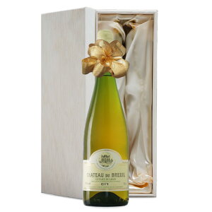 1974N ܂N C Vg[ f uC Rg[fC Ì a49N j  av[g CZbg ؔ