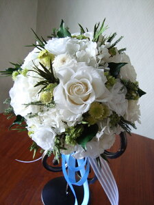 EGfBOu[P zCgEhvU[uht[ yu[P u[gjA Zbgz ԉł̃u[P o AWTC zCg O[   Ehu[P  i GKg 