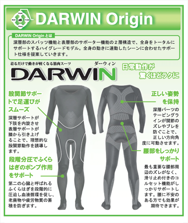 機能性アンダーウェア Darwin 半袖ノーマル ブラックL 機能性アンダーウェア Darwin 半袖ノーマル ブラックL