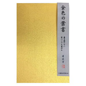 yn^z F̗t 20 28819