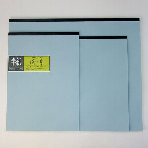 NEW WASHI W 񂰂  p 20
