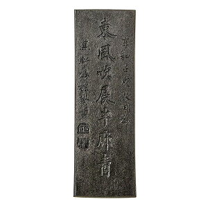 yÔ~z ɏn n  2.5^ uŌ`n ޗǖn piv