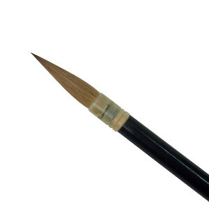 M M 𕝗p   7mmx31mm   ѕM K pi